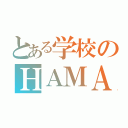 とある学校のＨＡＭＡ（）