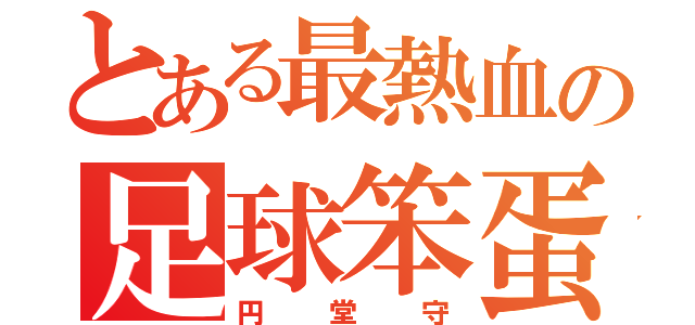 とある最熱血の足球笨蛋（円堂守）