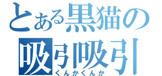 とある黒猫の吸引吸引（くんかくんか）