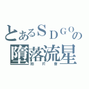 とあるＳＤＧＯの墮落流星（拍片會）