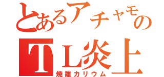 とあるアチャモのＴＬ炎上（焼雛カリウム）