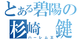 とある碧陽の杉崎 鍵（ハーレム王）