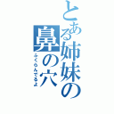 とある姉妹の鼻の穴（ふくらんでるよ）