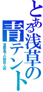 とある浅草の青テント（首都高下の野良人街）