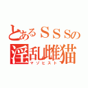 とあるＳＳＳの淫乱雌猫（マゾヒスト）