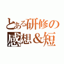 とある研修の感想＆短歌（）