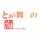 とある舞の海（ぶつかり稽古）