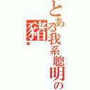 とある我系聰明の豬（葵）