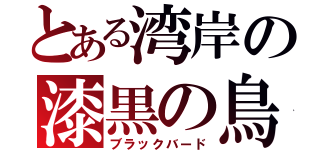 とある湾岸の漆黒の鳥（ブラックバード）