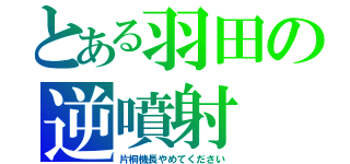 とある羽田の逆噴射（片桐機長やめてください）