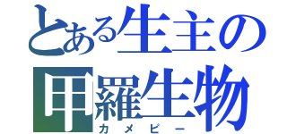 とある生主の甲羅生物（カメピー）