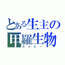 とある生主の甲羅生物（カメピー）