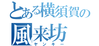 とある横須賀の風来坊（ヤンキー）