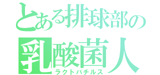 とある排球部の乳酸菌人（ラクトバチルス）