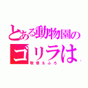 とある動物園のゴリラは（敬悟＆ふろ）