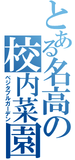 とある名高の校内菜園（ベジタブルガーデン）