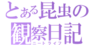 とある昆虫の観察日記（ニートライフ）