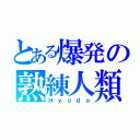 とある爆発の熟練人類（Ｈｙｏｄｏ）