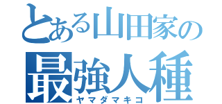 とある山田家の最強人種（ヤマダマキコ）