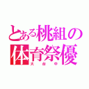 とある桃組の体育祭優勝（大台中）