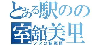 とある駅のの室舘美里（ツヌの核弾頭）