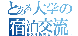 とある大学の宿泊交流（新入生歓迎会）