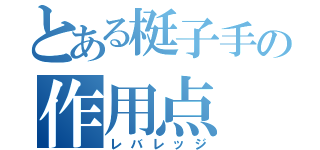 とある梃子手の作用点（レバレッジ）