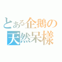 とある企鵝の天然呆樣（）