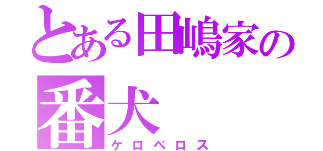 とある田嶋家の番犬（ケロベロス）