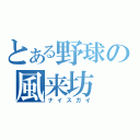 とある野球の風来坊（ナイスガイ）