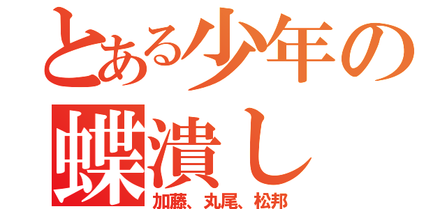 とある少年の蝶潰し（加藤、丸尾、松邦）