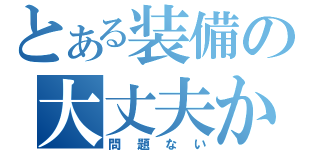 とある装備の大丈夫か？（問題ない）