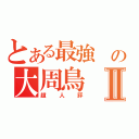 とある最強 の大周鳥Ⅱ（超人評）