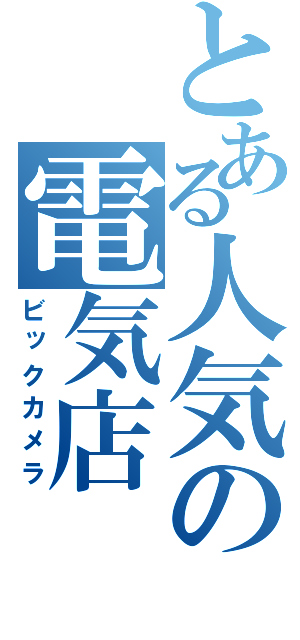 とある人気の電気店（ビックカメラ）