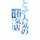 とある人気の電気店（ビックカメラ）