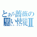 とある薔薇の黒い使徒Ⅱ（ウラ・オモテ）