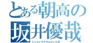 とある朝高の坂井優哉（ジャマイカでやらかした奴）