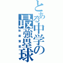 とある中学の最強塁球部（臥薪嘗胆）