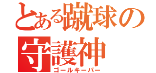 とある蹴球の守護神（ゴールキーパー）