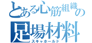 とある心筋組織の足場材料（スキャホールド）