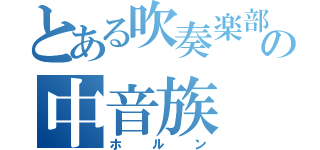 とある吹奏楽部の中音族（ホルン）