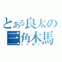 とある良太の三角木馬（って何？）