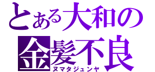 とある大和の金髪不良（ヌマタジュンヤ）