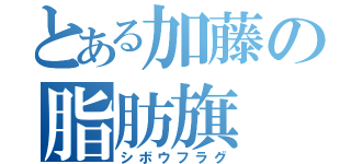 とある加藤の脂肪旗（シボウフラグ）