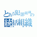 とある犯罪組織の統括組織（天使）