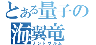 とある量子の海翼竜（リントヴルム）