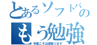 とあるソフトバカののもう勉強（今度こそは頑張ります）