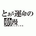 とある運命の動漫（インデックス）