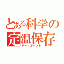 とある科学の定温保存（サーマルハント）