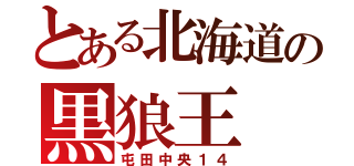 とある北海道の黒狼王（屯田中央１４）